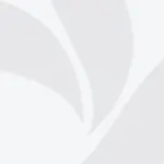 0853b945-7c3f-45b8-33c3-08de3be37656_tv_w800_h450856432