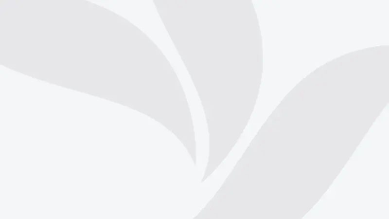 0853b945-7c3f-45b8-33c3-08de3be37656_tv_w800_h450856432