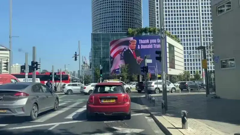 05ee07b7-b9f6-47c9-f92a-08de3c642a37_tv_w800_h450784542