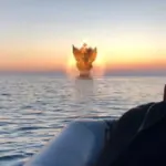 413efa13-06ca-4243-41be-08de3c92853e_tv_w800_h450787669