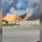 7b60ea87-4e50-48eb-3677-08de3be37656_tv_w800_h450600469