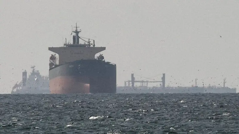 b944a68a-570b-4eac-9677-90e2b91522a4_cx8_cy12_cw83_w800_h45074543