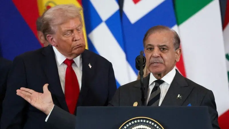 788162f2-84ea-4b24-bfe2-9473f608840b_w800_h450157889