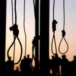 868a86fe-ad64-42f4-8b33-cbaef0d3489f_w800_h450254431