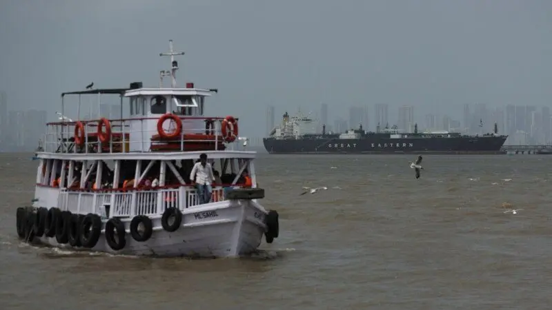 22f193e2-38a4-4c55-bc71-65acf273a0f6_cx0_cy5_cw0_w800_h450294403