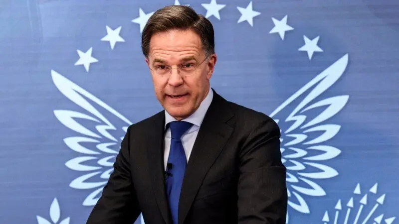 90db663e-468a-4a24-8f3c-c7f8591d13d4_cx0_cy8_cw0_w800_h450180803