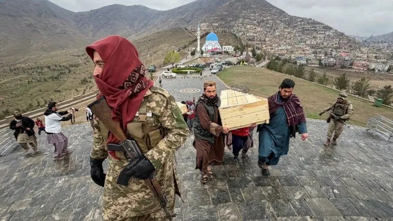 4b83c772-bf02-4477-d29f-08de3c914337_cx0_cy2_cw0_w800_h450655411