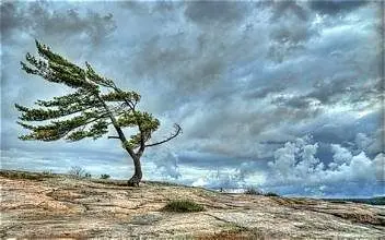 PGE winds