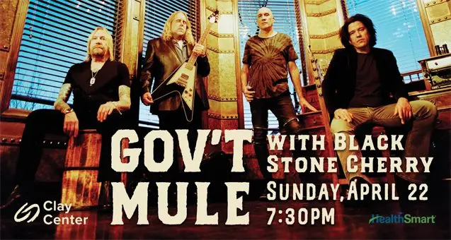 mule