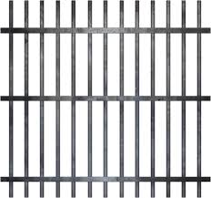 arrest-6-cell-bars