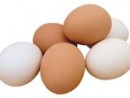 wpid-eggs-jpg