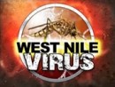wpid-west-nile-virus-jpg-2