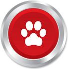 dog-paw-sign-icon-pets-symbol
