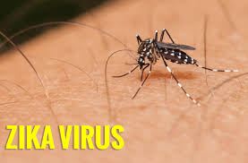 wpid-zika-virus-jpg