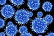 flu-virus-jpg