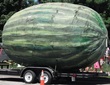 knox-county-watermelon-18-foot