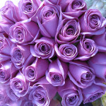 goodwin-purple-flowers