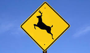 deer-crossing-sign