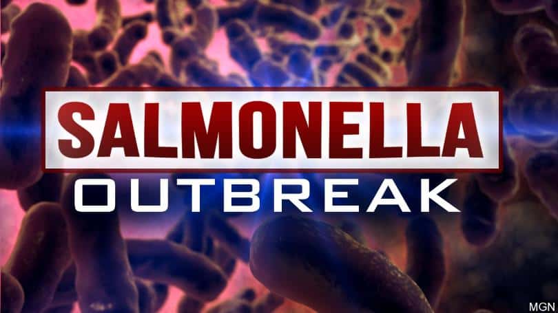 salmonella-outbreak