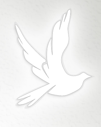 emmons-stock-dove
