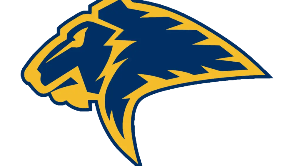 plano-prestonwood-academy-lions-large