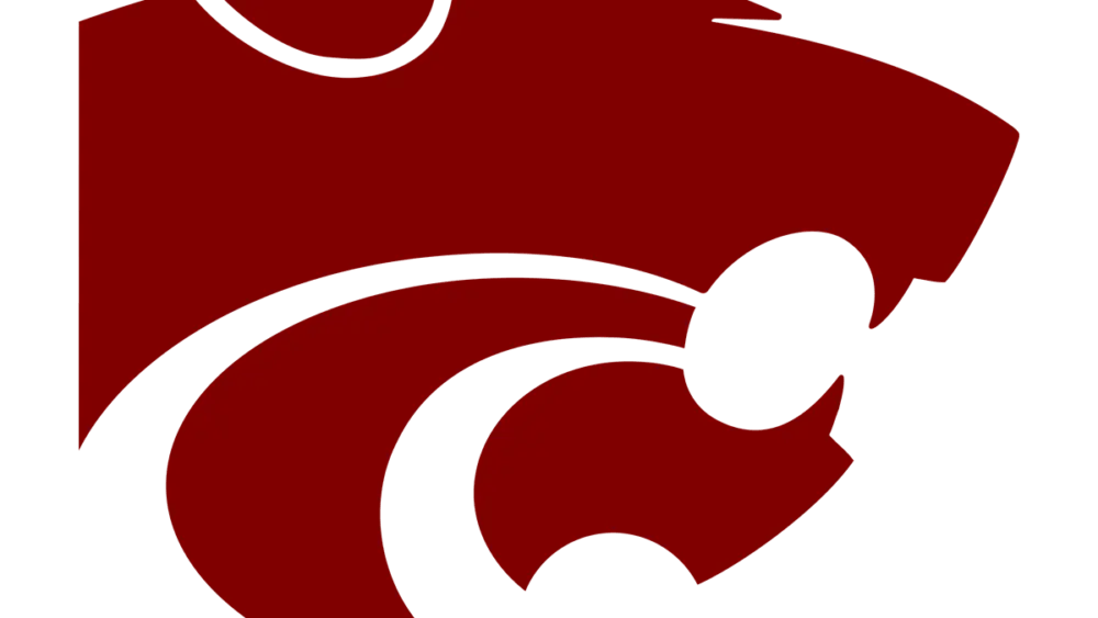 callisburg-wildcats-large