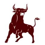 Bridgeport Bulls Logo