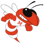 Mineola Yellowjackets Logo