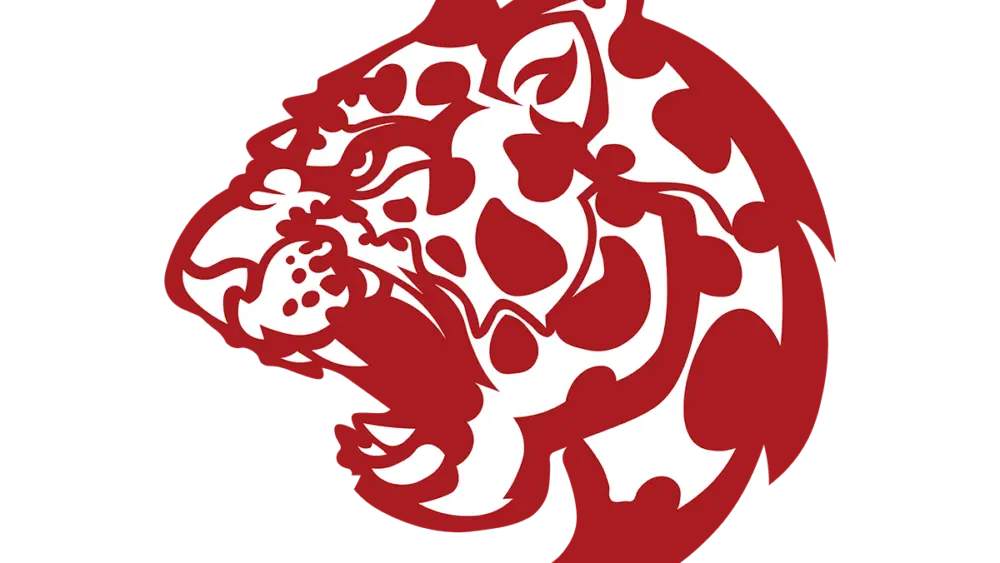 texarkana-liberty-eylau-tigers1-large