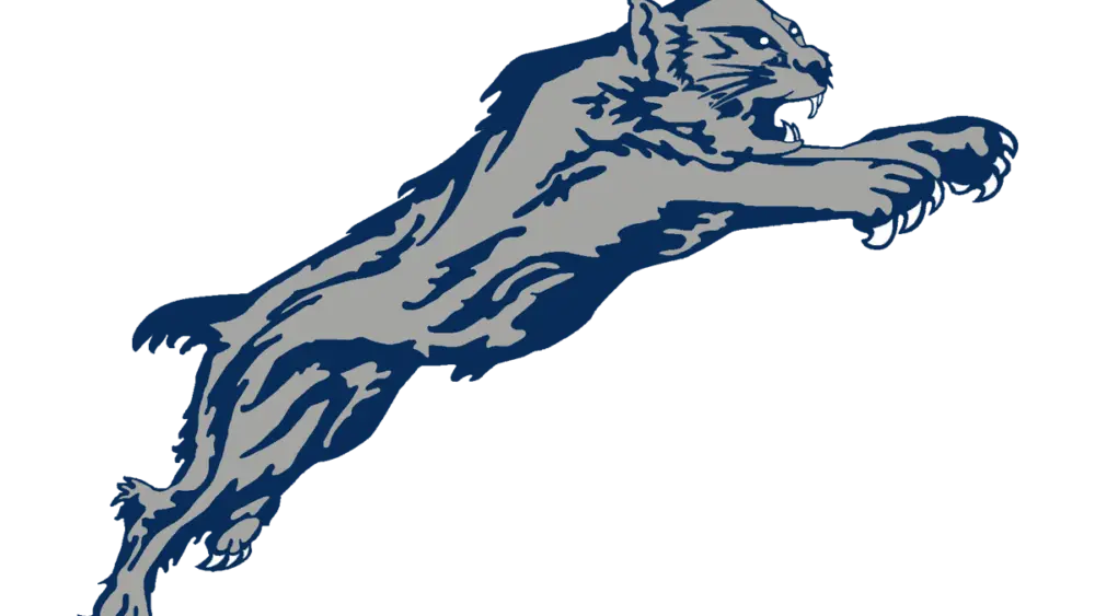 paris-wildcats-large