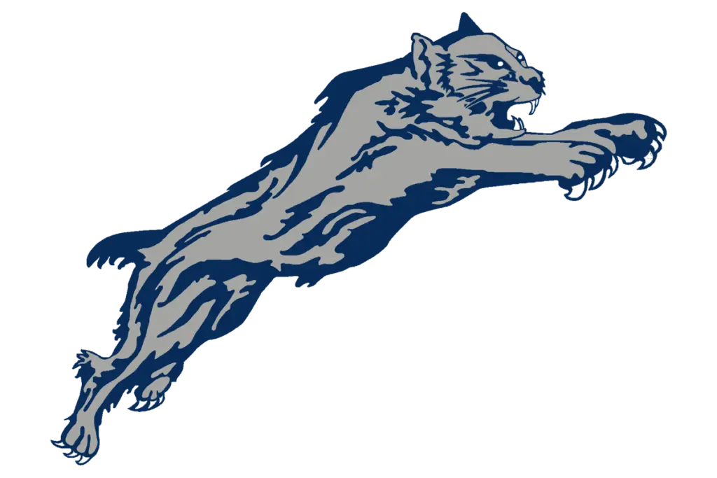 paris-wildcats-large