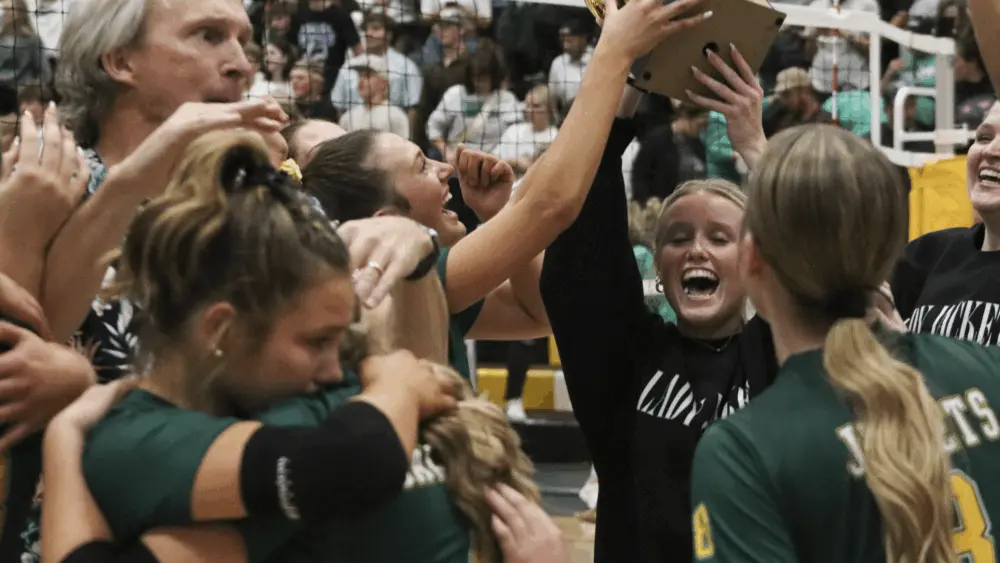 boyd-vs-paradise-vb-256