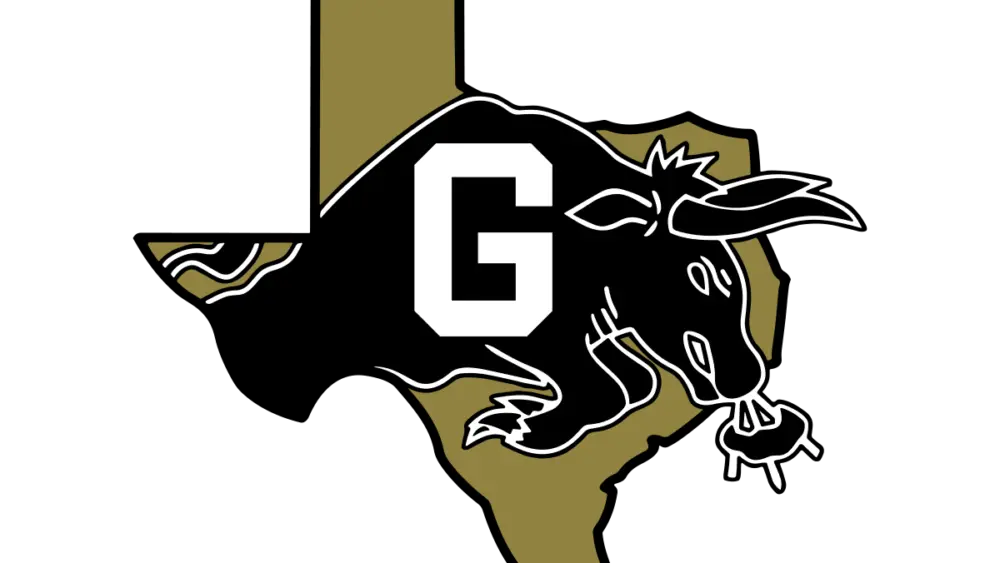 gordon-longhorns-large