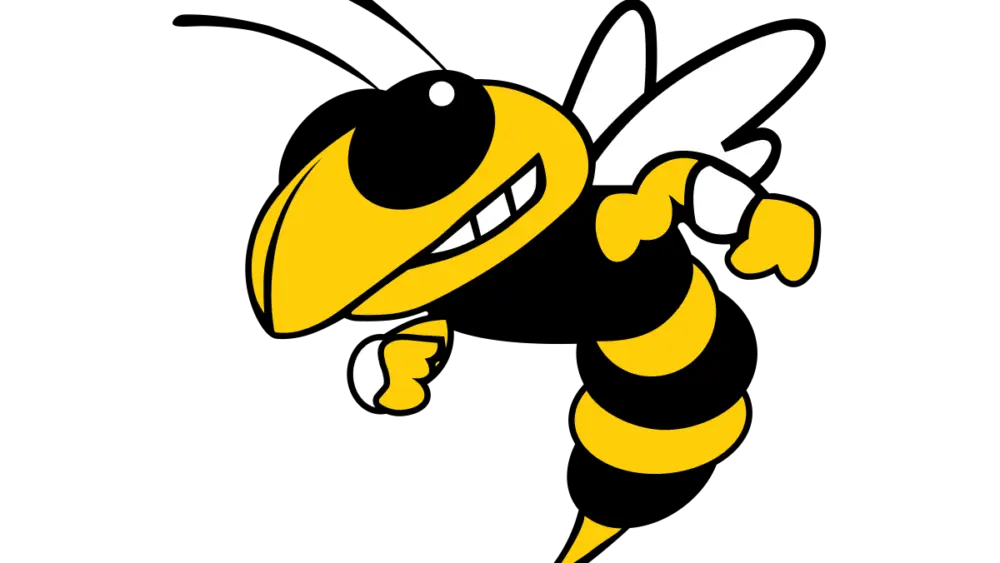 menard-yellowjackets-large