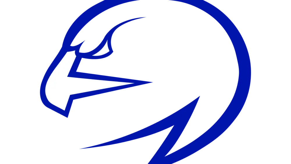 north-forney-falcons1-large