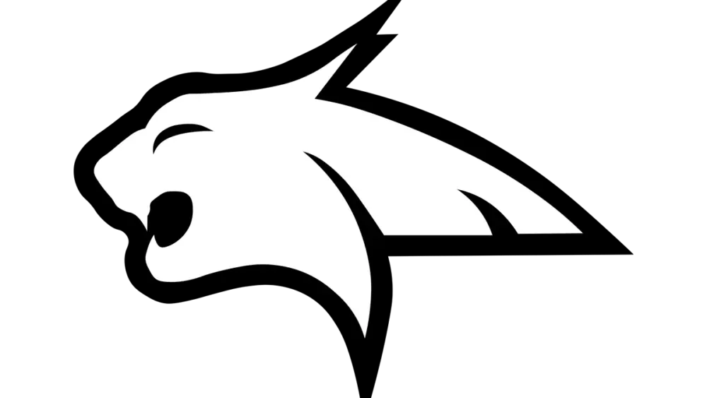 bluff-dale-bobcats2-large