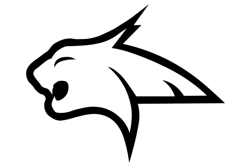 bluff-dale-bobcats2-large