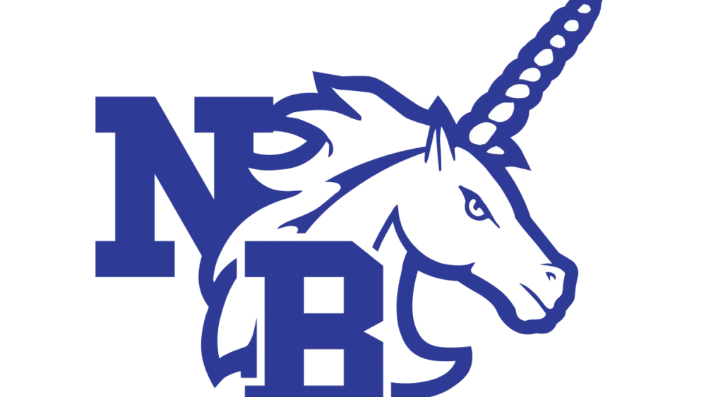 new-braunfels-unicorns-large