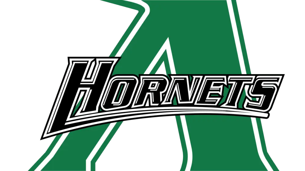 azle-hornets-large