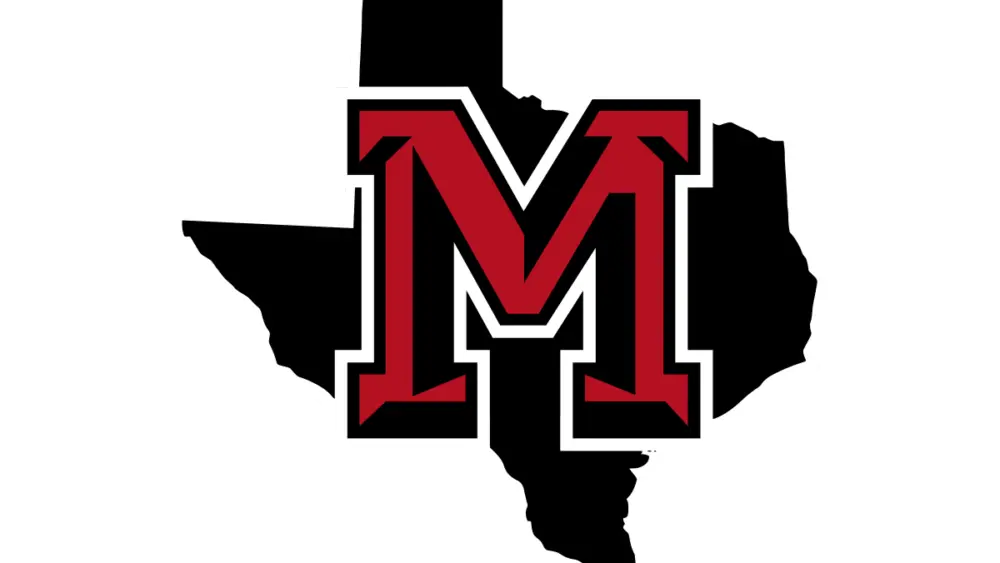 muenster-hornets-large-1