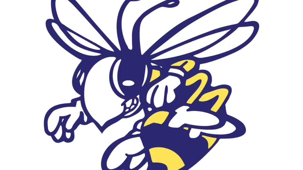 stephenville-honeybees-large