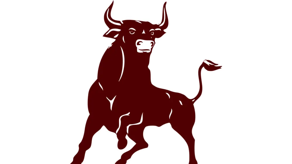 bridgeport-bulls1-large