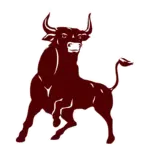 bridgeport-bulls1-large