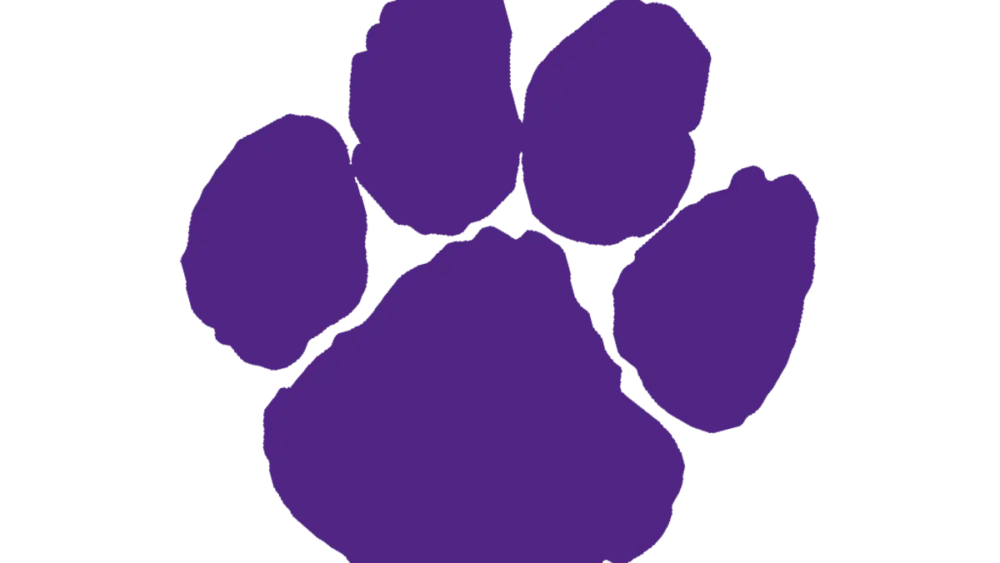 fort-worth-paschal-panthers-large