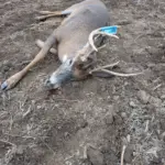 Jennifer Randall - Mossberg 450 - 9 points