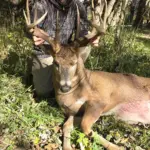Matthew Halleck - Crossbow - 11 point