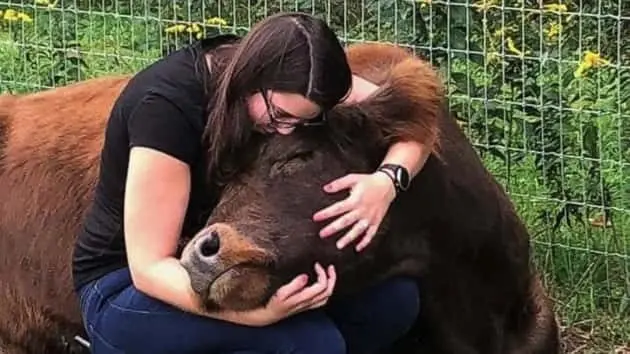 190717gmacowcuddling_hpmain_16x9_992