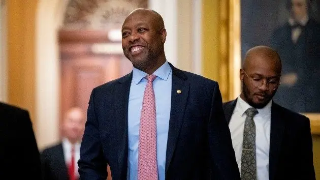 getty_1325_timscott529996