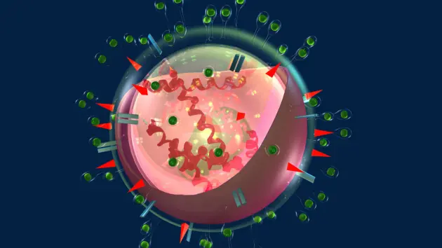 news_birdflu_1624389641