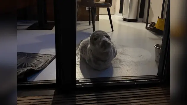 untitled20design20282729501655